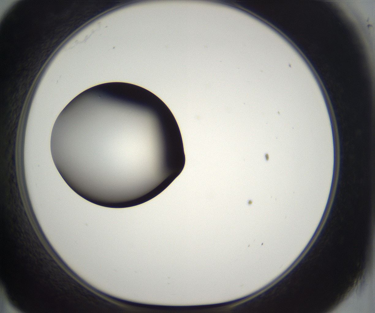 folderID302_plateID2302_batchID10855_wellNum35_profileID1_d1_r161744_ef.jpg