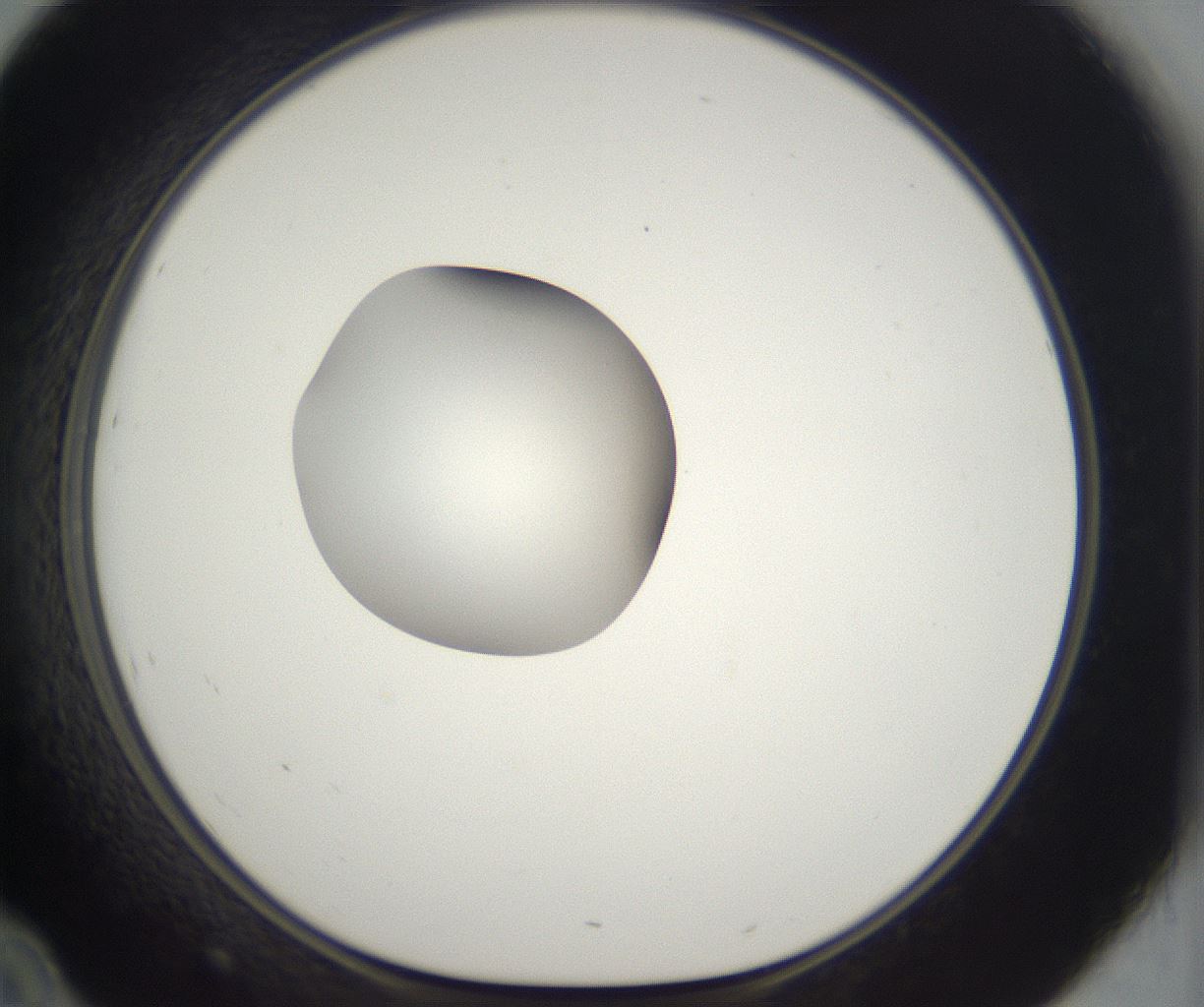 folderID302_plateID2302_batchID10855_wellNum46_profileID1_d1_r161755_ef.jpg