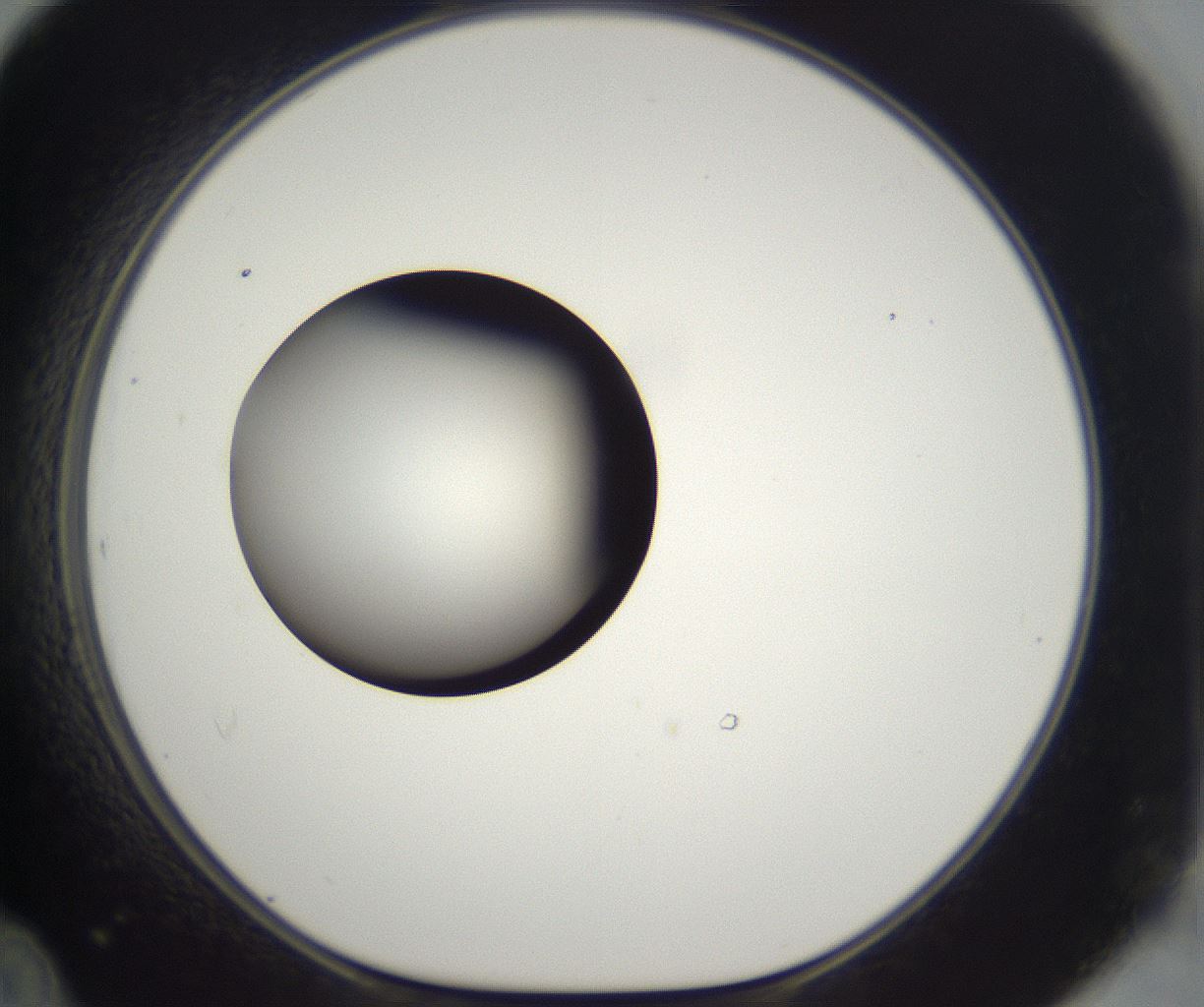 folderID302_plateID2302_batchID10855_wellNum48_profileID1_d1_r161757_ef.jpg