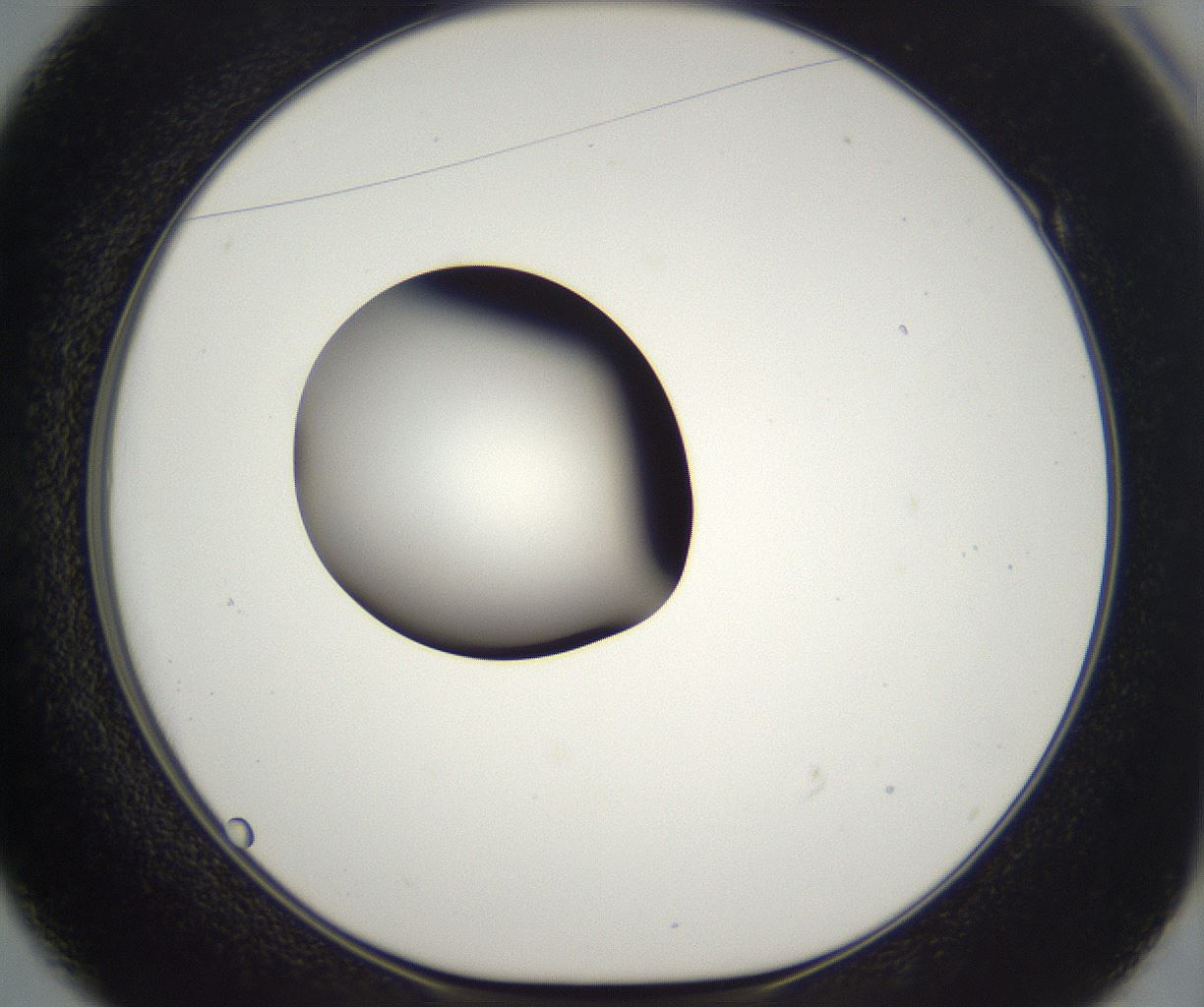 folderID302_plateID2302_batchID10855_wellNum49_profileID1_d1_r161758_ef.jpg