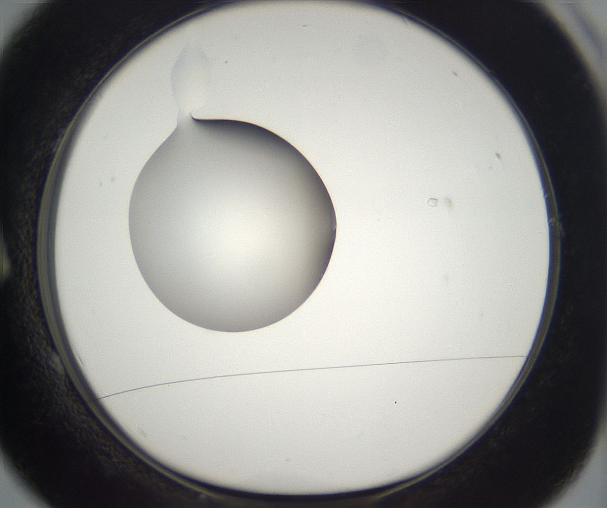 folderID302_plateID2302_batchID10855_wellNum1_profileID1_d1_r161710_ef.jpg
