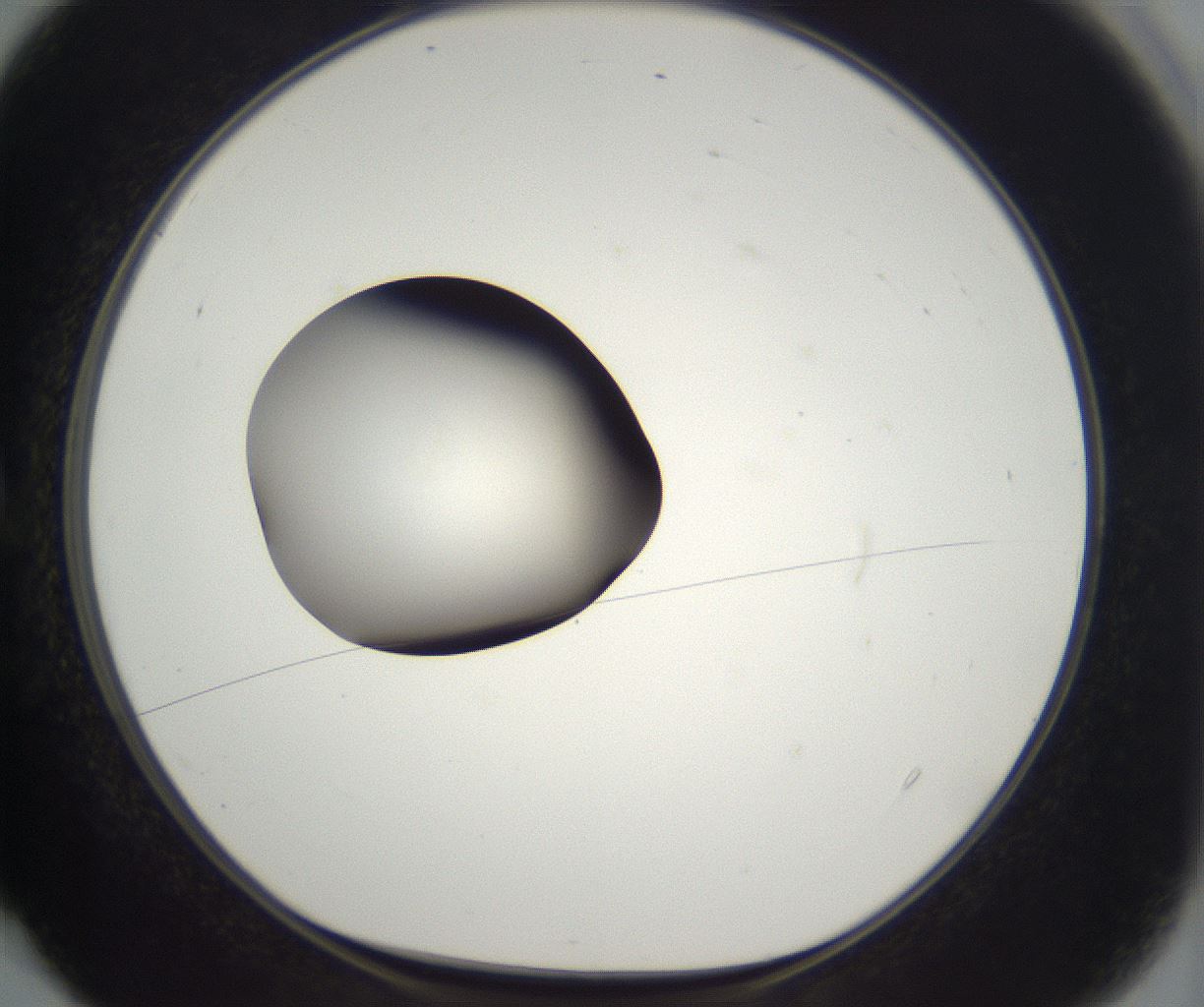 folderID302_plateID2302_batchID10855_wellNum4_profileID1_d1_r161713_ef.jpg