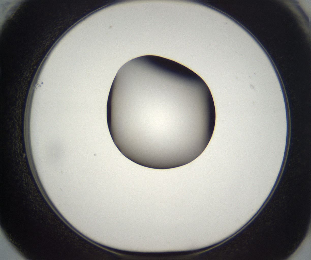 folderID302_plateID2302_batchID10855_wellNum61_profileID1_d1_r161770_ef.jpg