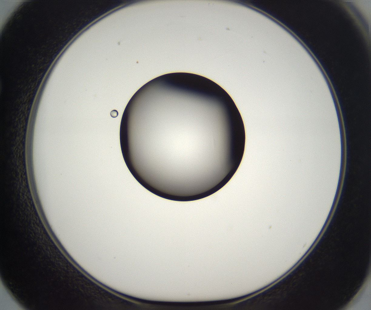 folderID302_plateID2302_batchID10855_wellNum62_profileID1_d1_r161771_ef.jpg