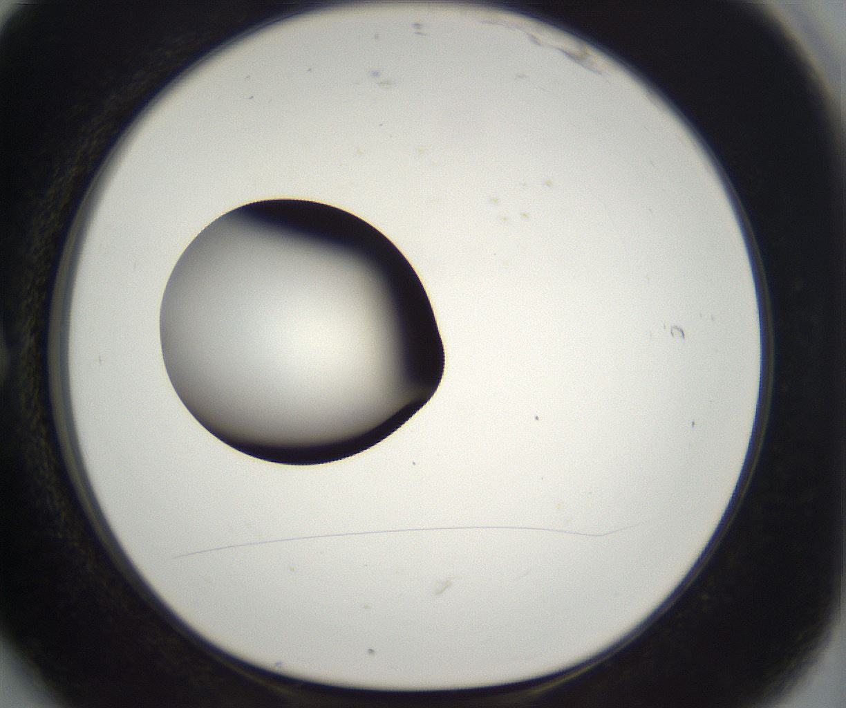 folderID302_plateID2302_batchID10855_wellNum6_profileID1_d1_r161715_ef.jpg