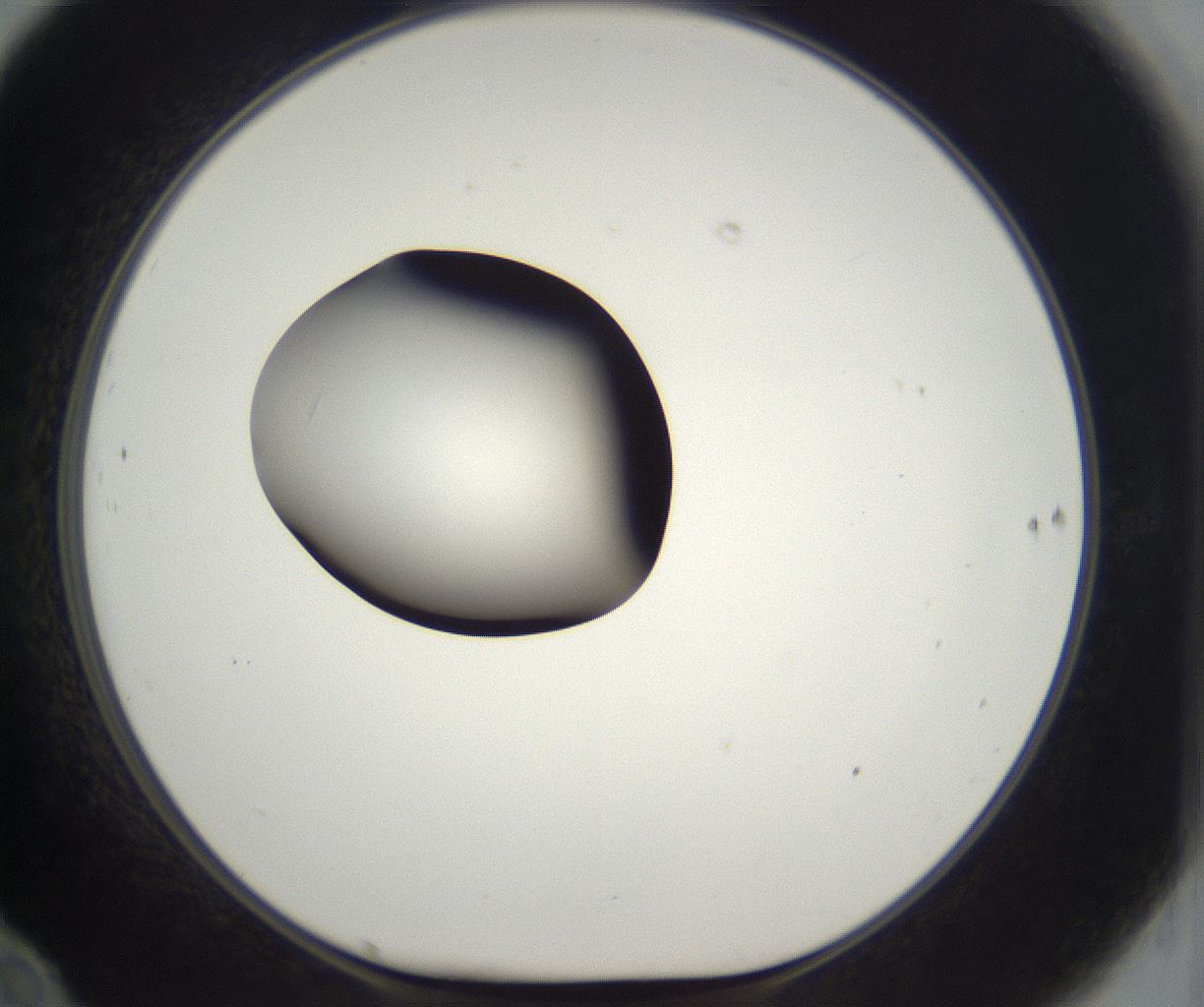 folderID302_plateID2302_batchID10855_wellNum70_profileID1_d1_r161779_ef.jpg