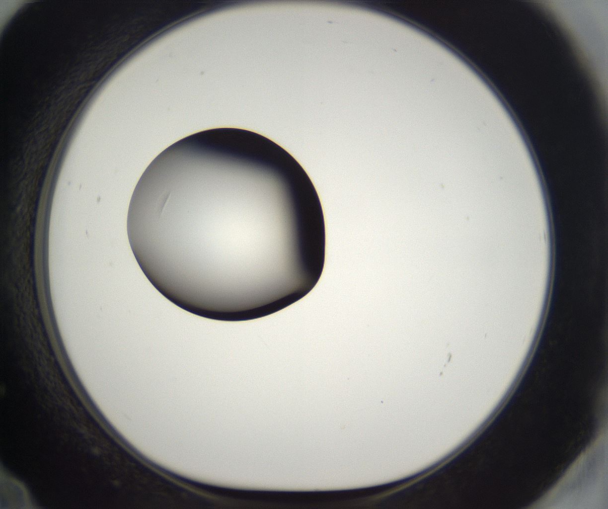 folderID302_plateID2302_batchID10855_wellNum72_profileID1_d1_r161781_ef.jpg