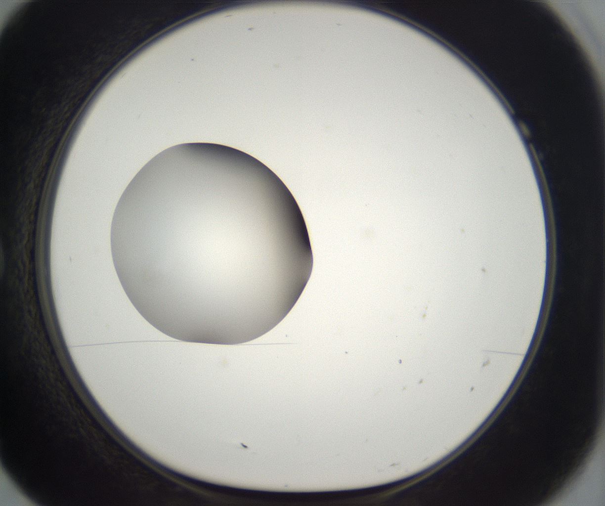 folderID302_plateID2302_batchID10855_wellNum7_profileID1_d1_r161716_ef.jpg