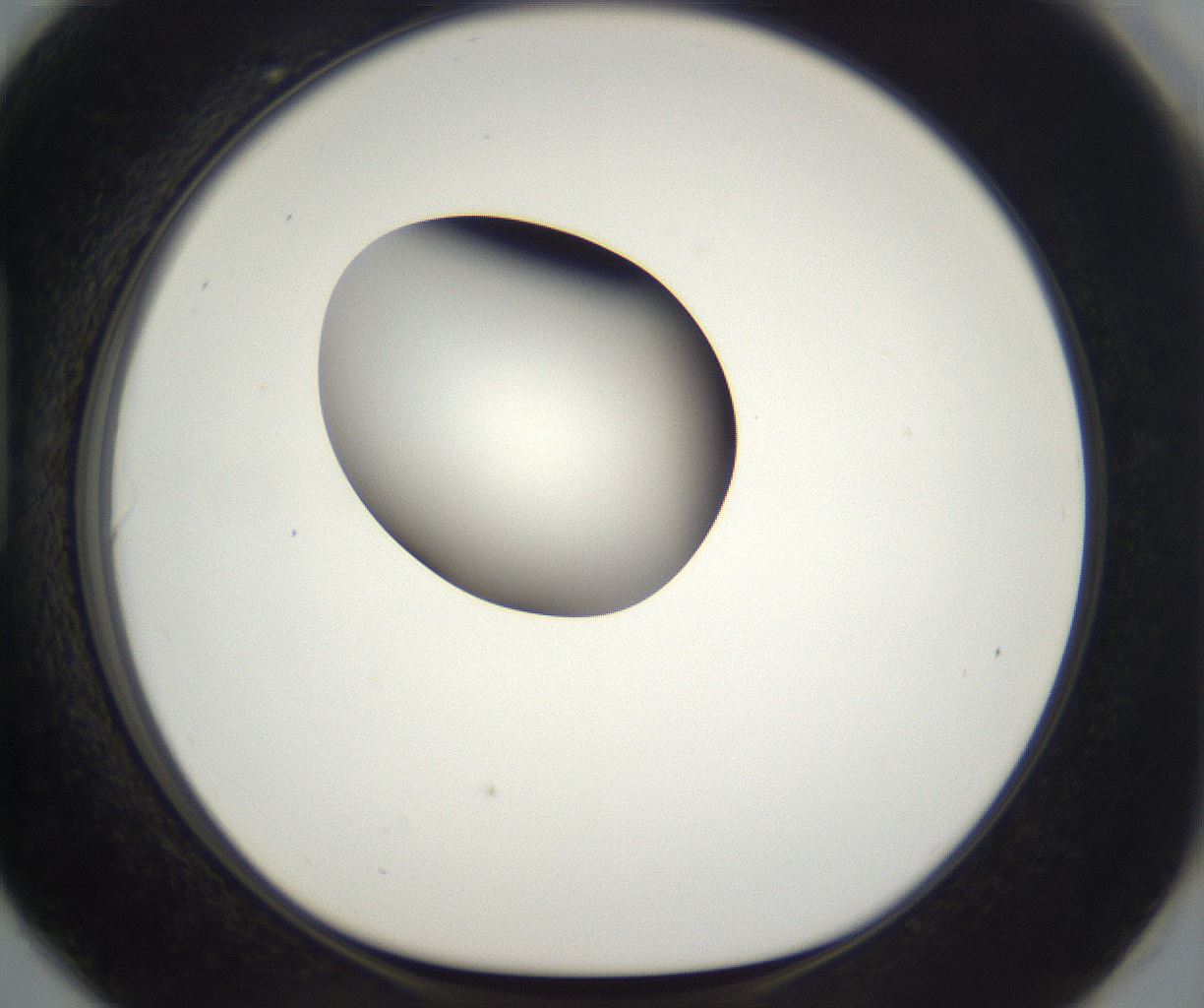 folderID302_plateID2302_batchID10855_wellNum90_profileID1_d1_r161799_ef.jpg