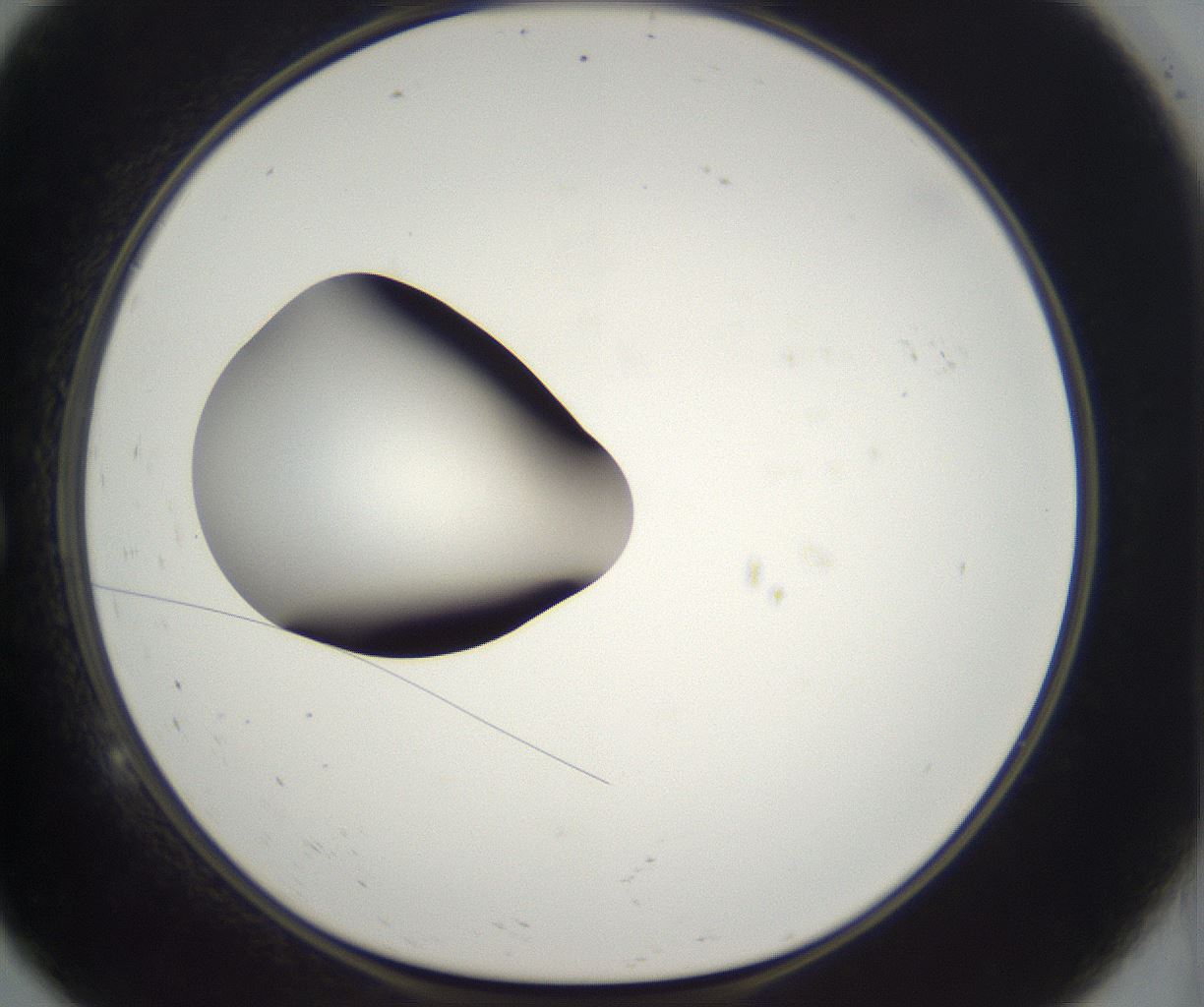 folderID302_plateID2302_batchID10855_wellNum9_profileID1_d1_r161718_ef.jpg
