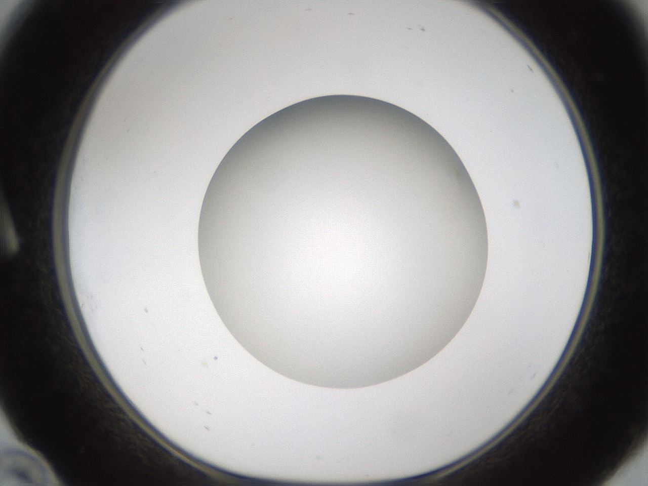 folderID303_plateID1303_batchID4266_wellNum10_profileID1_d1_r78497_ef.jpg
