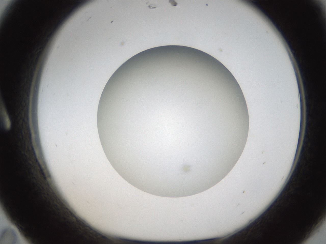 folderID303_plateID1303_batchID4266_wellNum11_profileID1_d1_r78498_ef.jpg