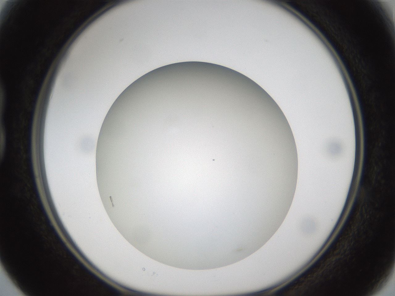 folderID303_plateID1303_batchID4266_wellNum15_profileID1_d1_r78502_ef.jpg