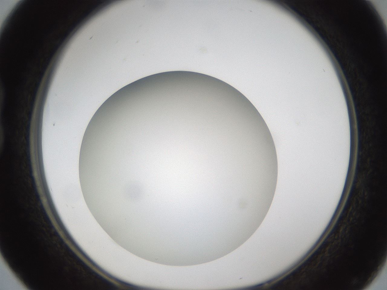 folderID303_plateID1303_batchID4266_wellNum16_profileID1_d1_r78503_ef.jpg