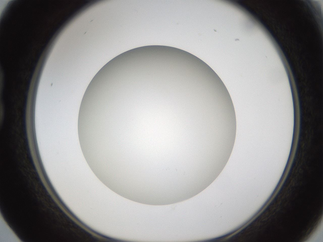 folderID303_plateID1303_batchID4266_wellNum17_profileID1_d1_r78504_ef.jpg