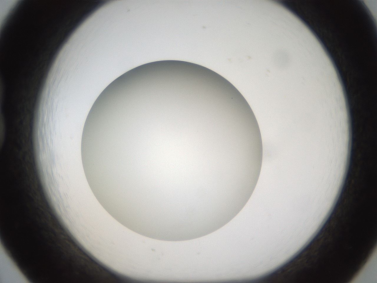 folderID303_plateID1303_batchID4266_wellNum20_profileID1_d1_r78507_ef.jpg