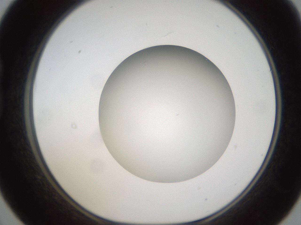 folderID303_plateID1303_batchID4266_wellNum21_profileID1_d1_r78508_ef.jpg