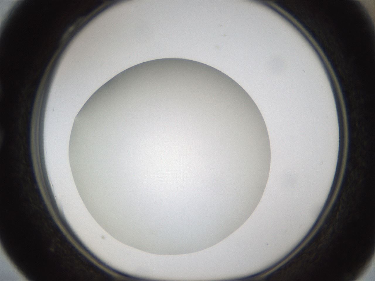 folderID303_plateID1303_batchID4266_wellNum28_profileID1_d1_r78515_ef.jpg
