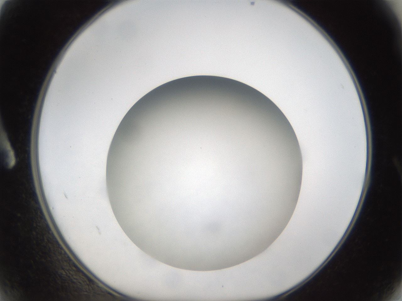 folderID303_plateID1303_batchID4266_wellNum2_profileID1_d1_r78489_ef.jpg