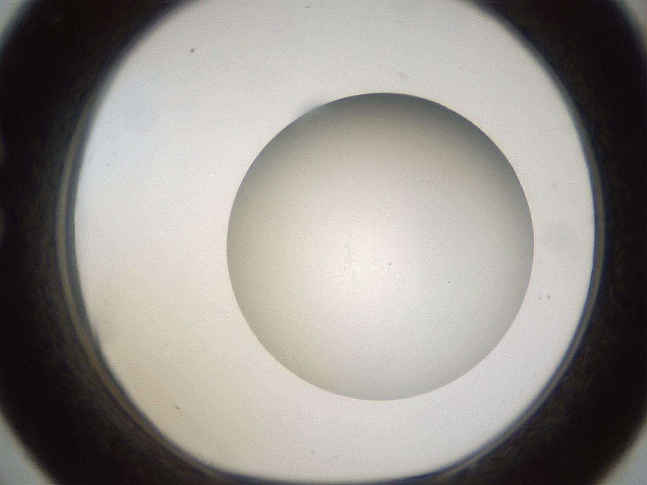 folderID303_plateID1303_batchID4266_wellNum33_profileID1_d1_r78520_ef.jpg