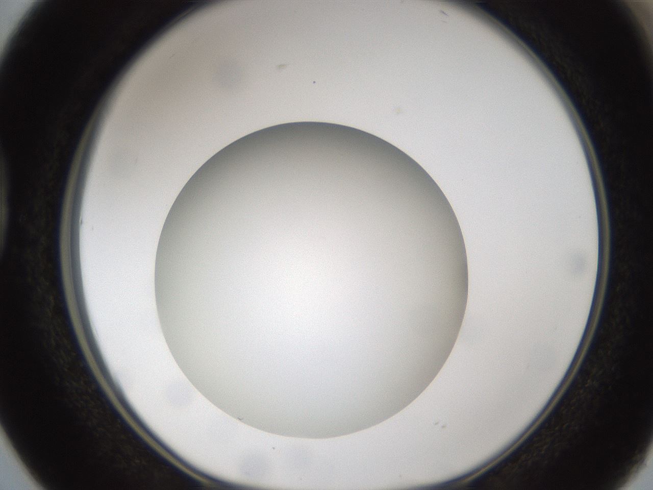 folderID303_plateID1303_batchID4266_wellNum38_profileID1_d1_r78525_ef.jpg
