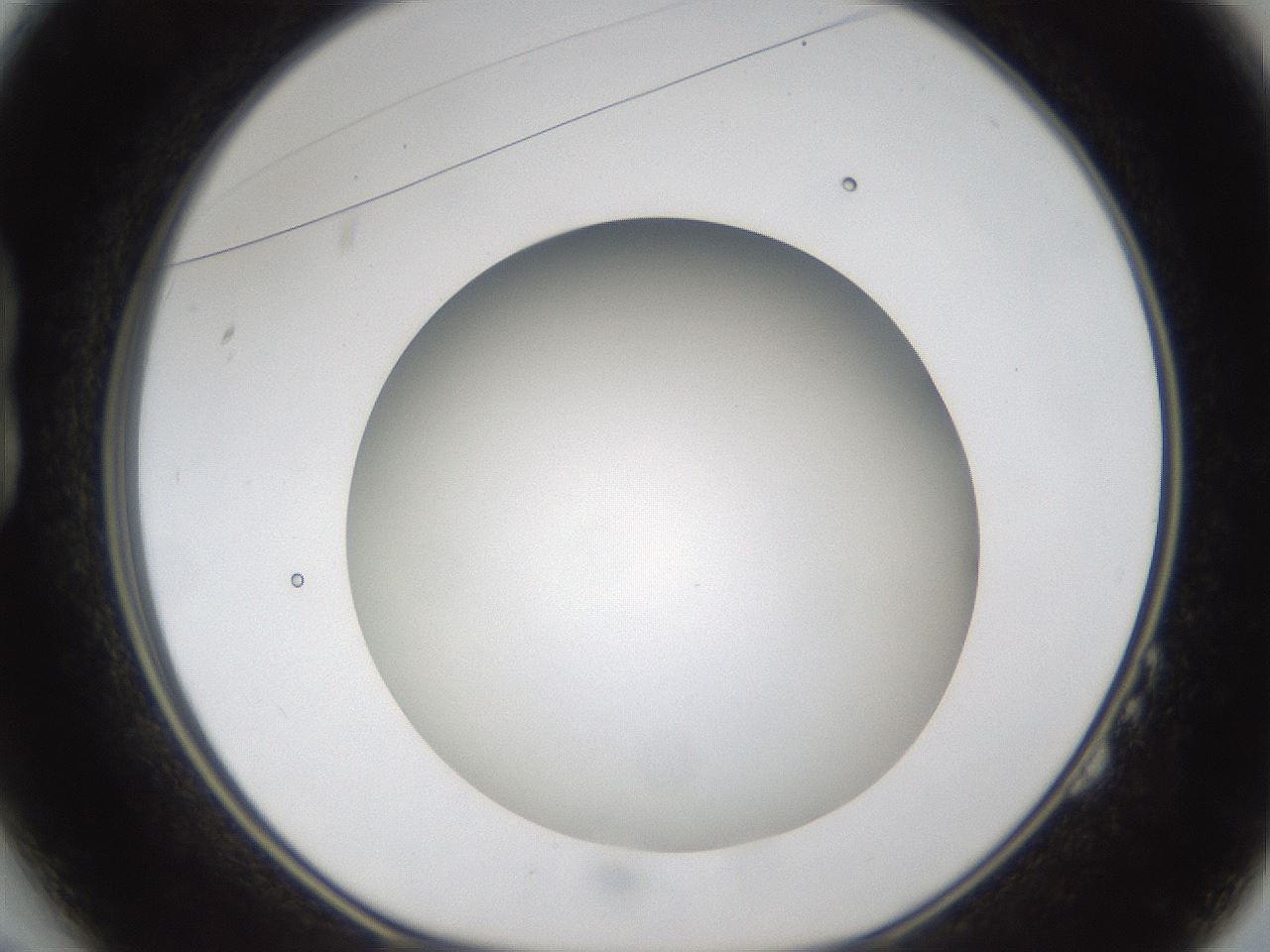 folderID303_plateID1303_batchID4266_wellNum14_profileID1_d1_r78501_ef.jpg
