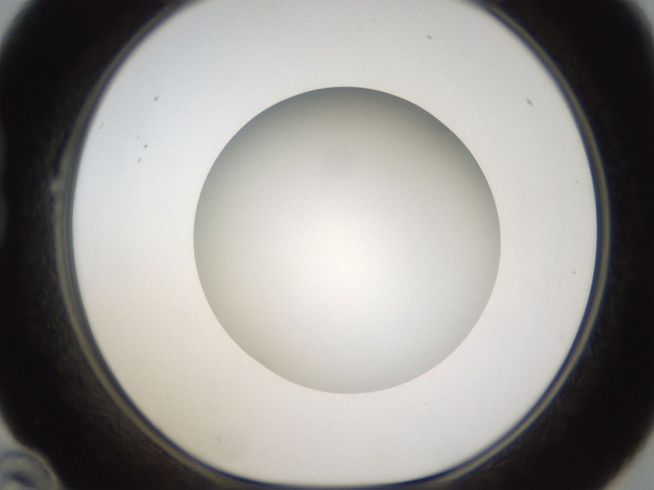 folderID303_plateID1303_batchID4266_wellNum22_profileID1_d1_r78509_ef.jpg