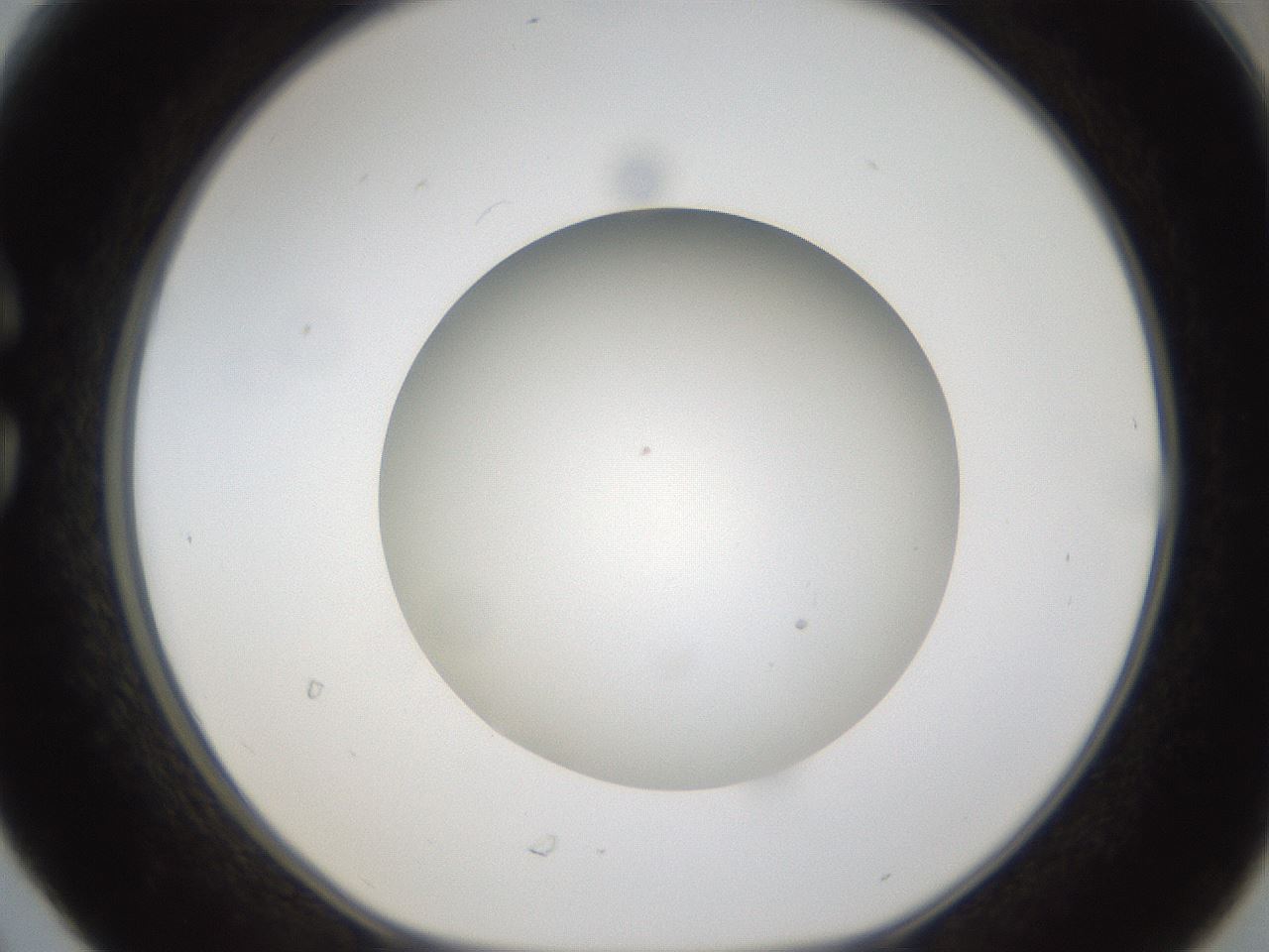 folderID303_plateID1303_batchID4266_wellNum30_profileID1_d1_r78517_ef.jpg