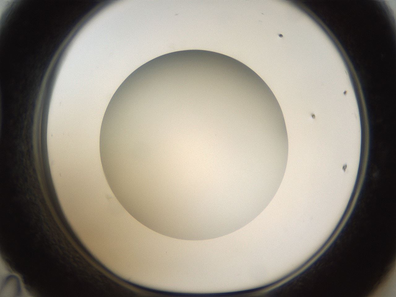 folderID303_plateID1303_batchID4266_wellNum47_profileID1_d1_r78534_ef.jpg