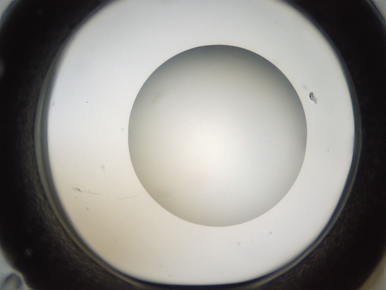 folderID303_plateID1303_batchID4266_wellNum71_profileID1_d1_r78558_ef.jpg