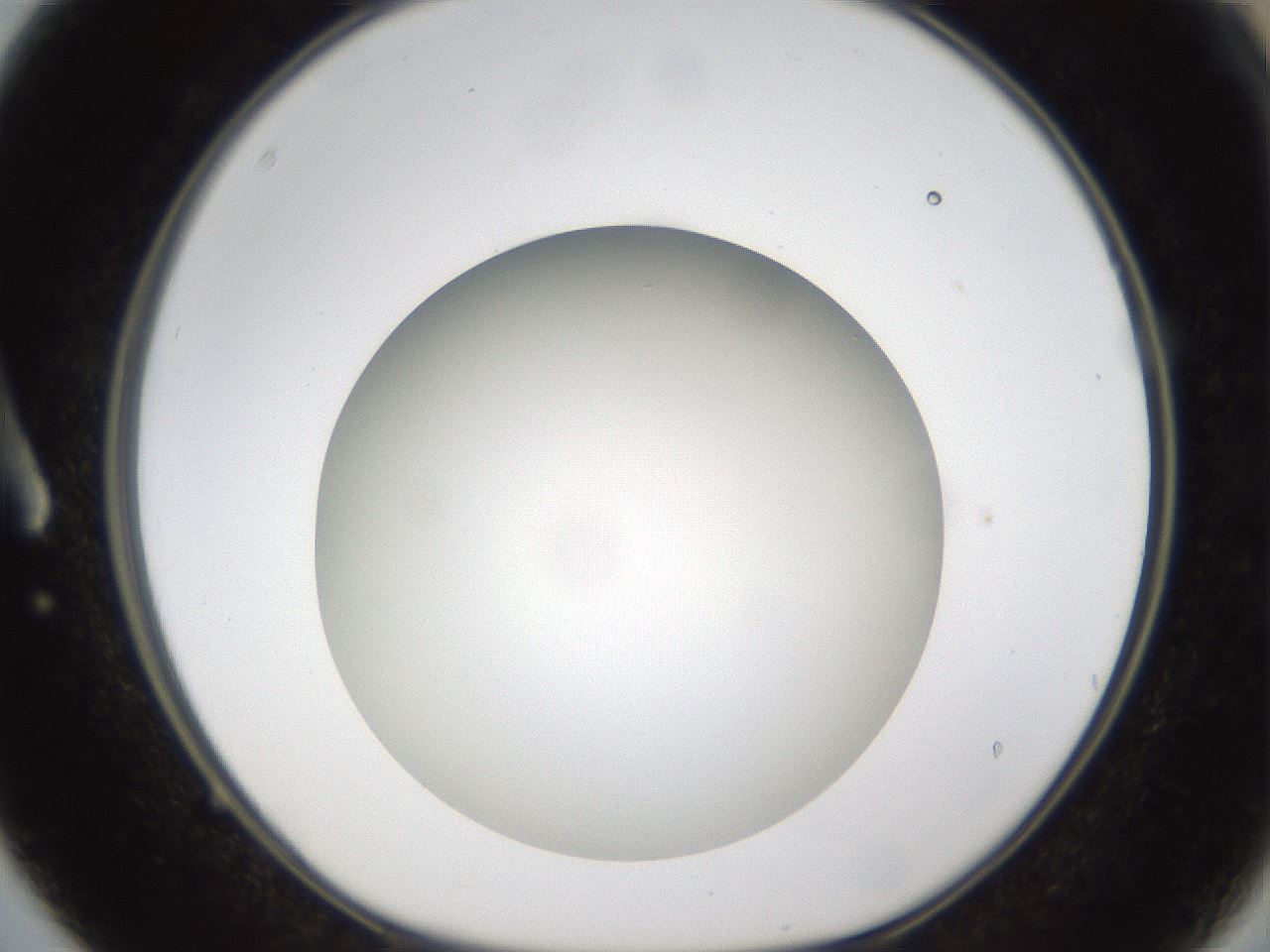 folderID303_plateID1303_batchID4266_wellNum3_profileID1_d1_r78490_ef.jpg