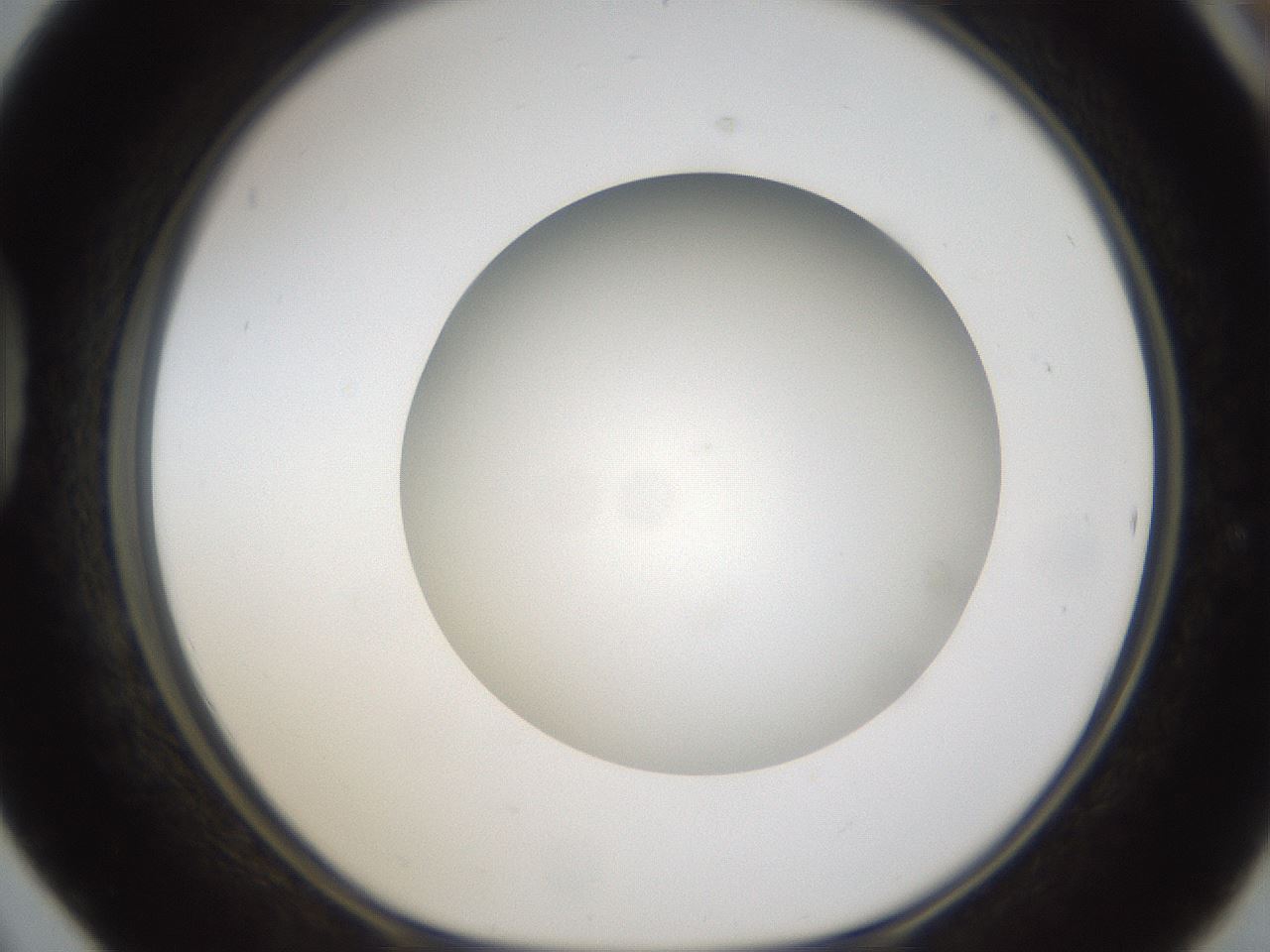 folderID303_plateID1303_batchID4266_wellNum42_profileID1_d1_r78529_ef.jpg