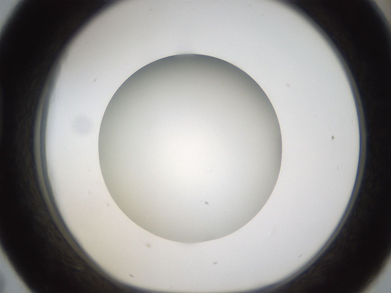folderID303_plateID1303_batchID4266_wellNum43_profileID1_d1_r78530_ef.jpg