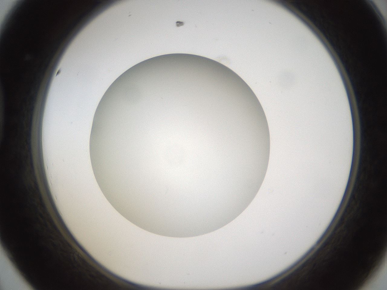 folderID303_plateID1303_batchID4266_wellNum44_profileID1_d1_r78531_ef.jpg