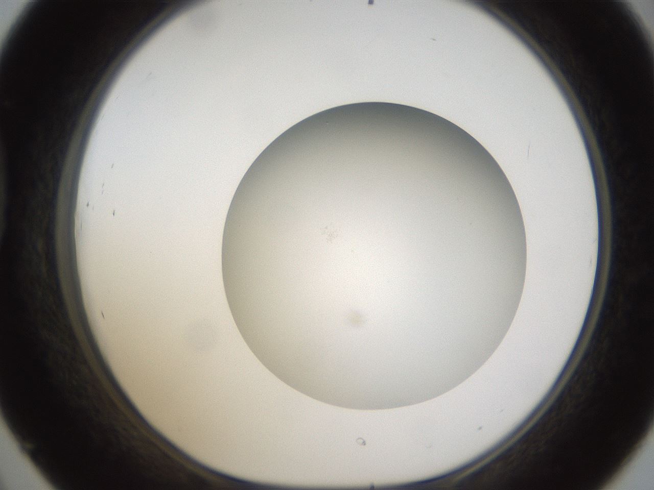 folderID303_plateID1303_batchID4266_wellNum45_profileID1_d1_r78532_ef.jpg