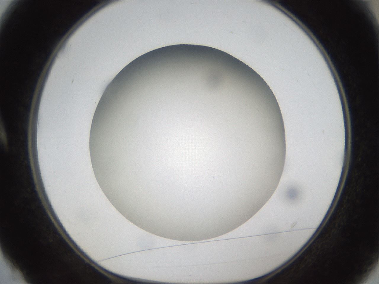 folderID303_plateID1303_batchID4266_wellNum4_profileID1_d1_r78491_ef.jpg