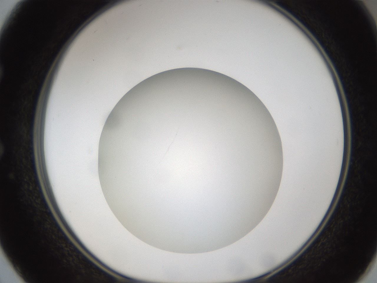 folderID303_plateID1303_batchID4266_wellNum50_profileID1_d1_r78537_ef.jpg