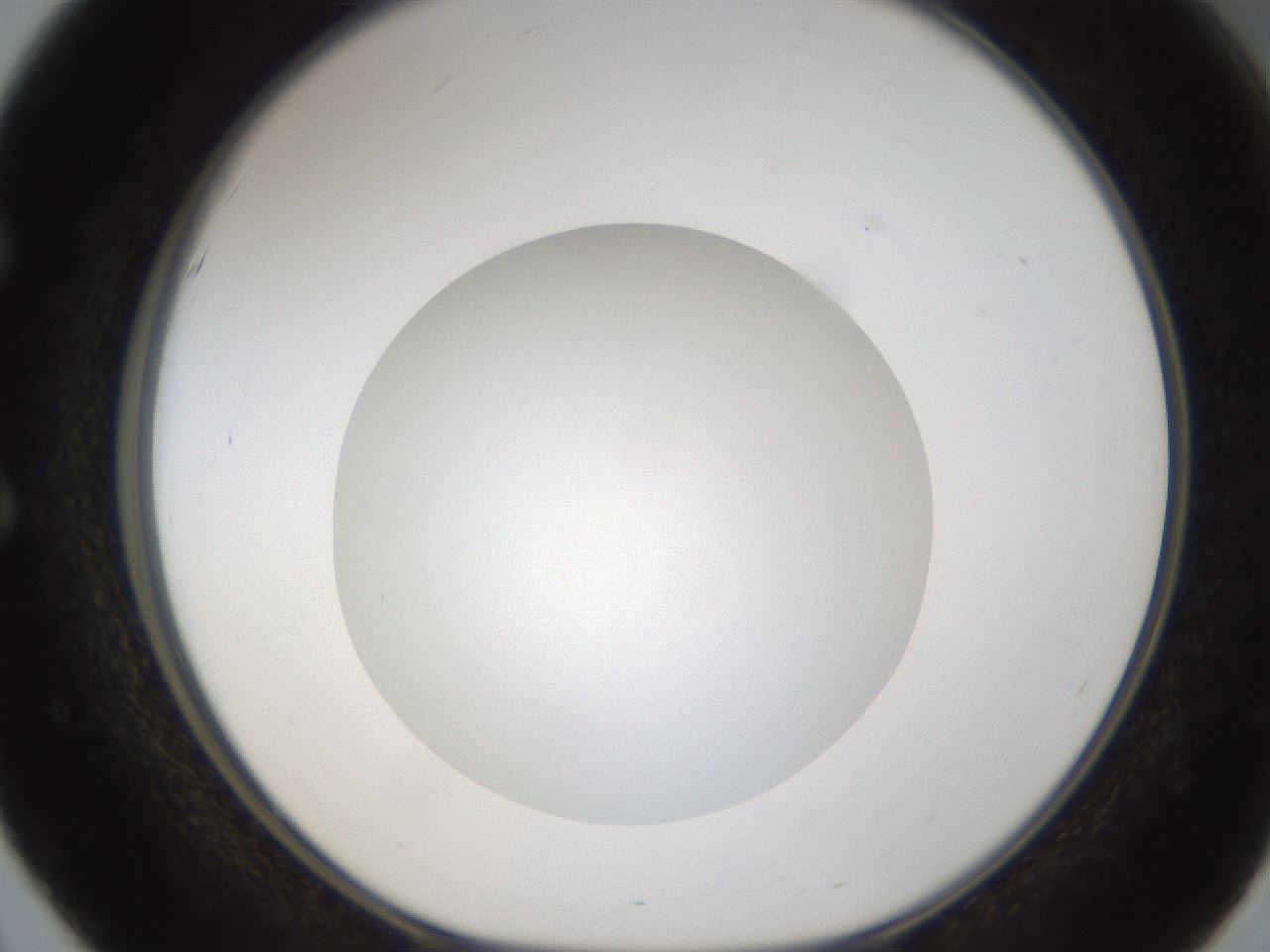 folderID303_plateID1303_batchID4266_wellNum51_profileID1_d1_r78538_ef.jpg