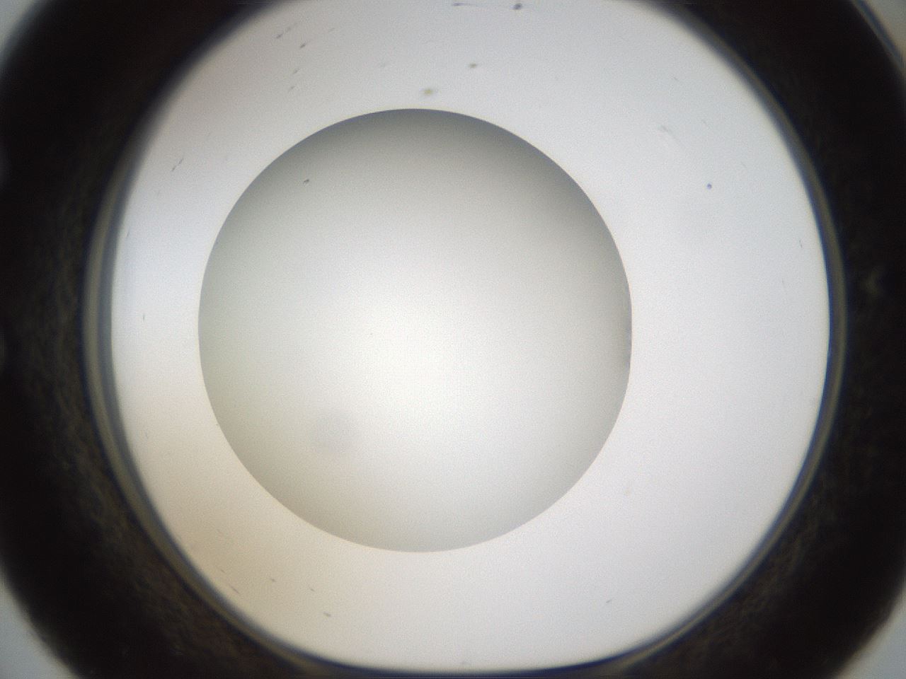 folderID303_plateID1303_batchID4266_wellNum56_profileID1_d1_r78543_ef.jpg