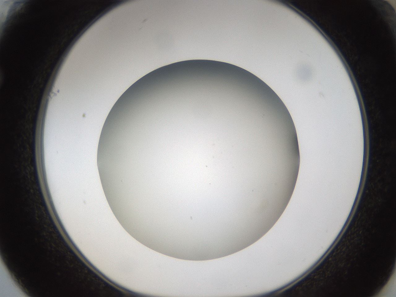 folderID303_plateID1303_batchID4266_wellNum61_profileID1_d1_r78548_ef.jpg