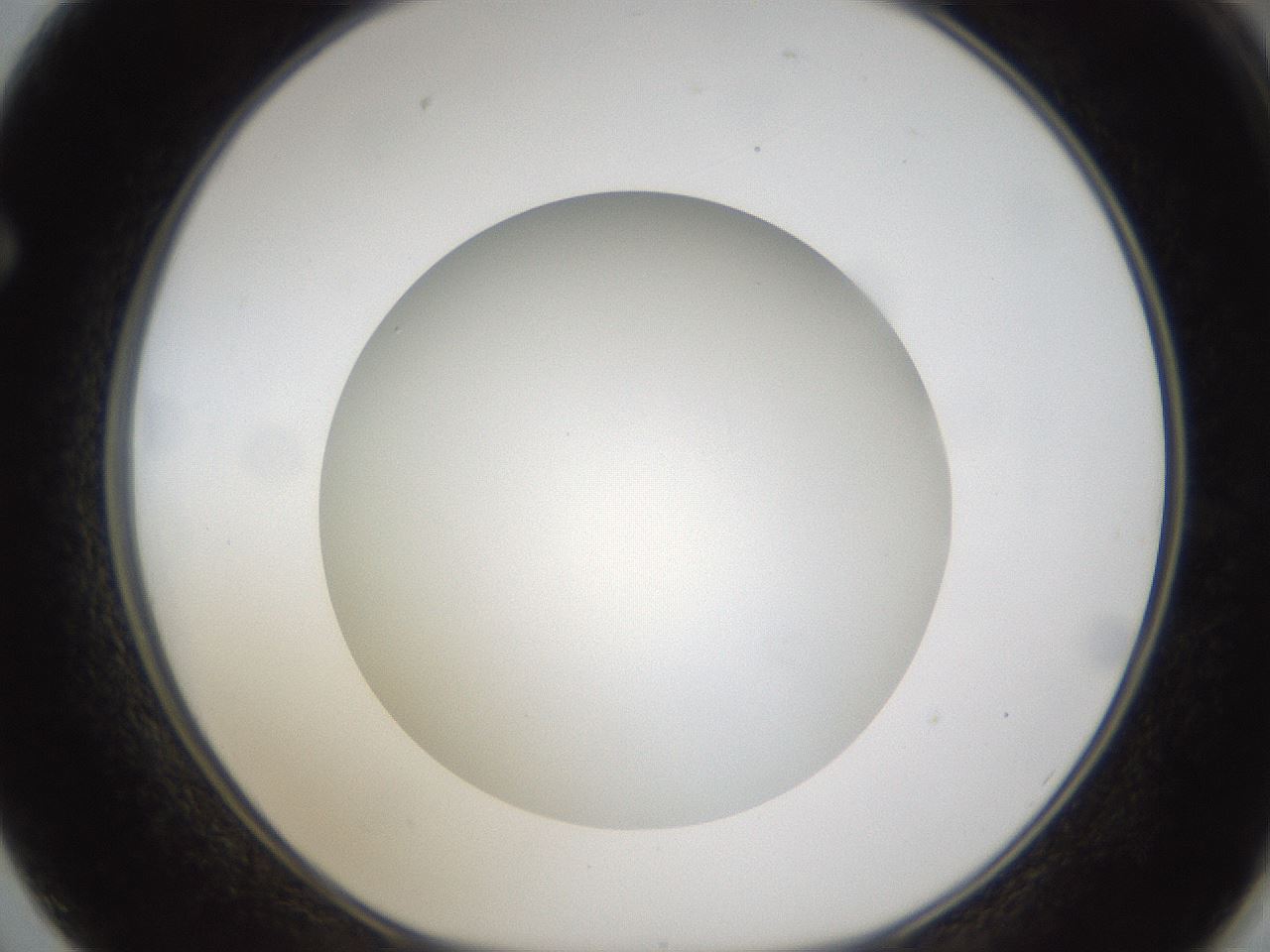 folderID303_plateID1303_batchID4266_wellNum62_profileID1_d1_r78549_ef.jpg