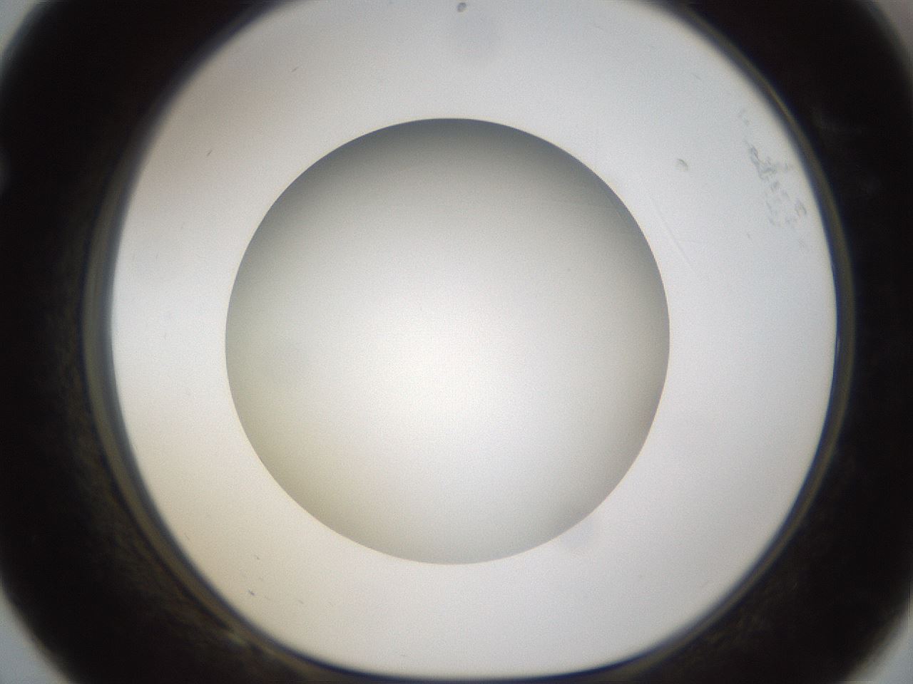 folderID303_plateID1303_batchID4266_wellNum68_profileID1_d1_r78555_ef.jpg
