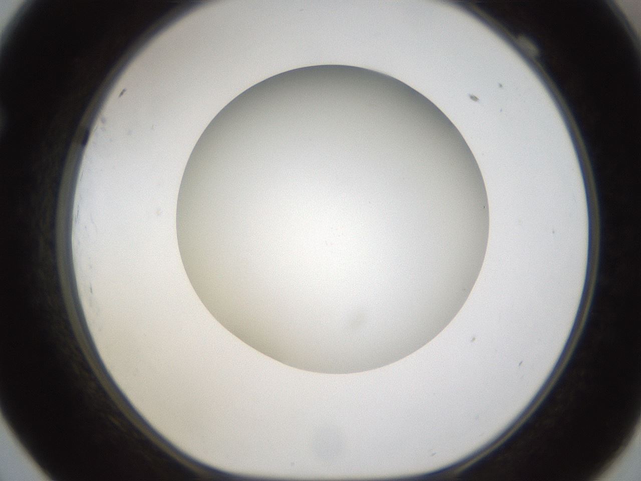 folderID303_plateID1303_batchID4266_wellNum69_profileID1_d1_r78556_ef.jpg