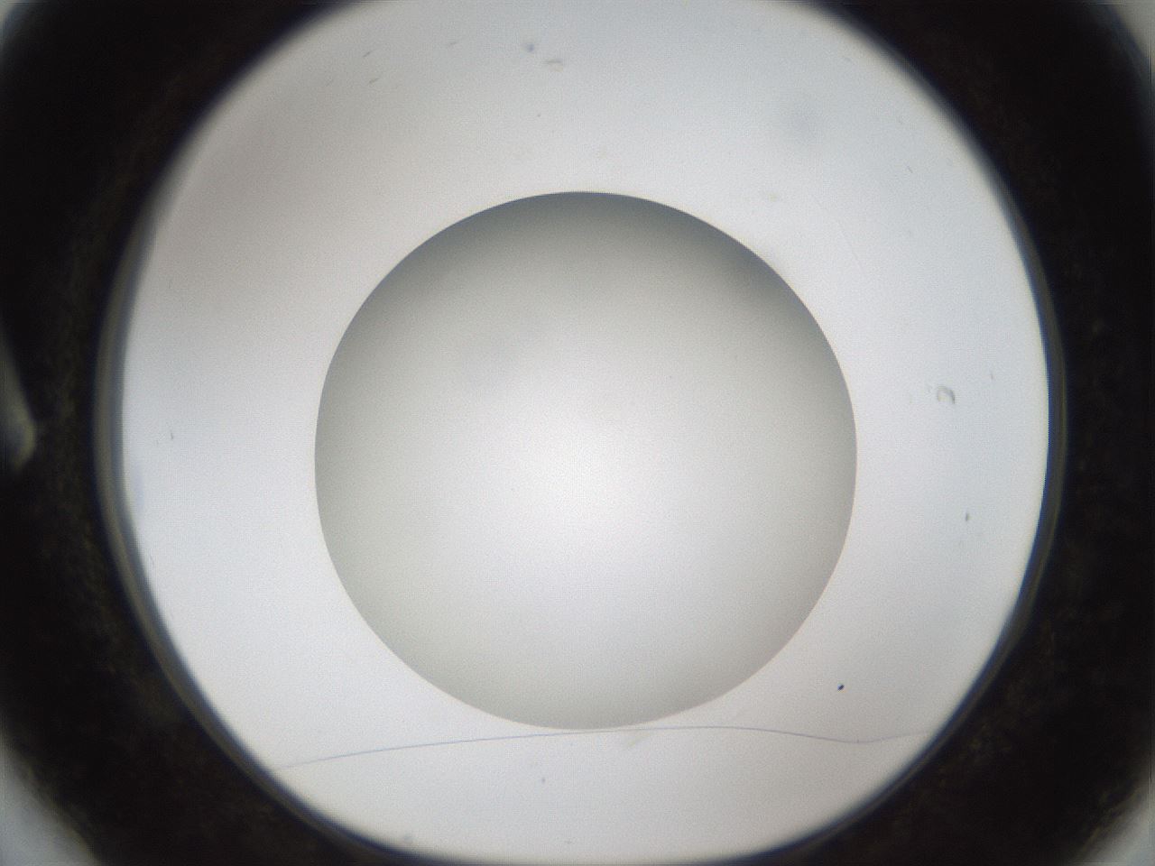 folderID303_plateID1303_batchID4266_wellNum6_profileID1_d1_r78493_ef.jpg