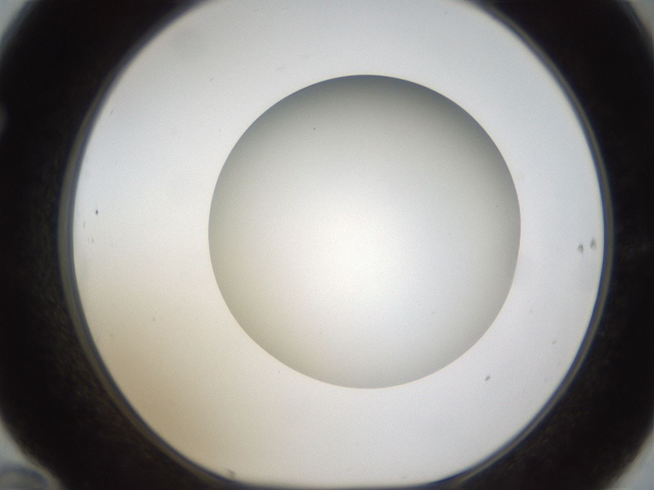 folderID303_plateID1303_batchID4266_wellNum70_profileID1_d1_r78557_ef.jpg