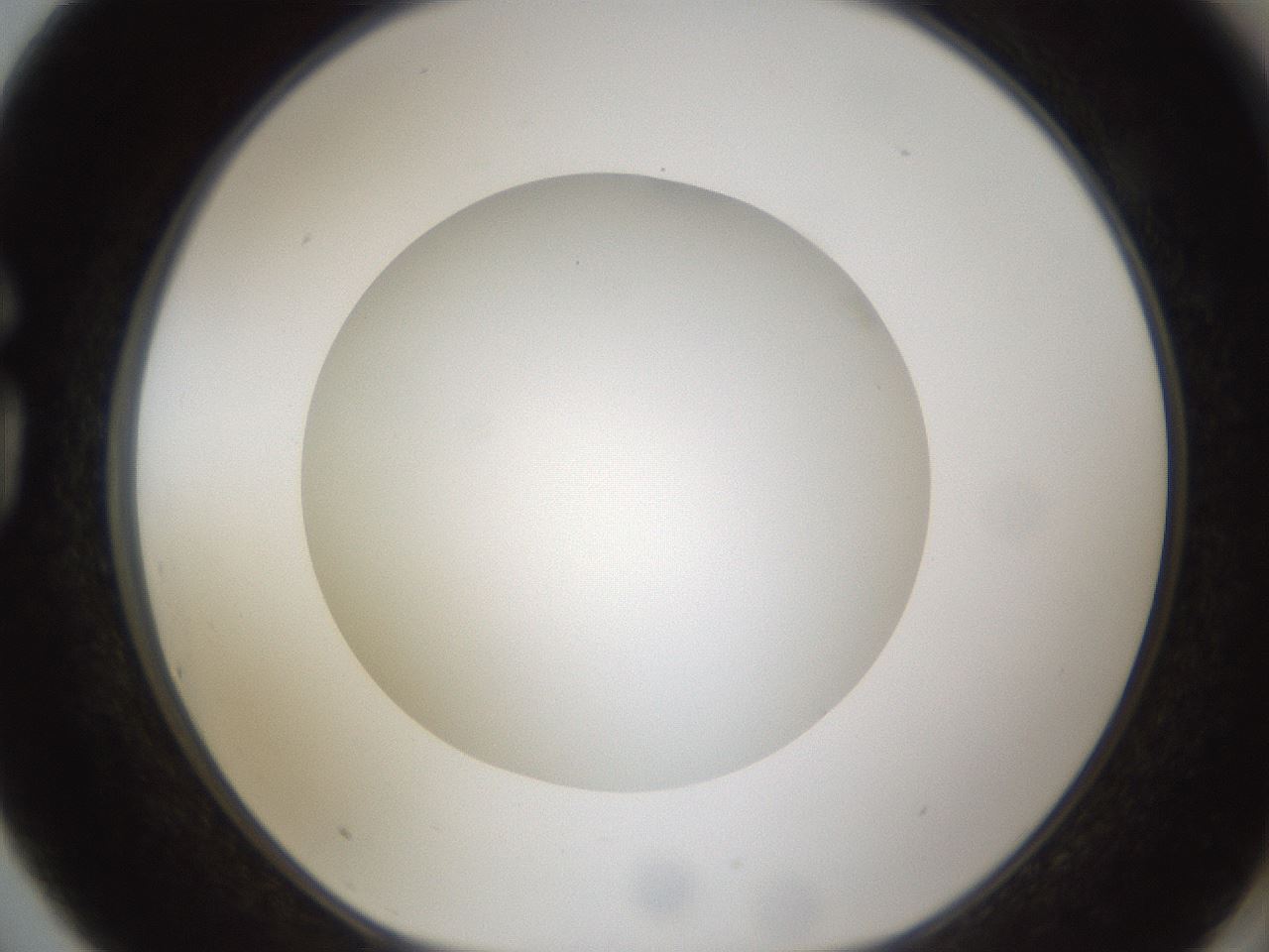 folderID303_plateID1303_batchID4266_wellNum75_profileID1_d1_r78562_ef.jpg