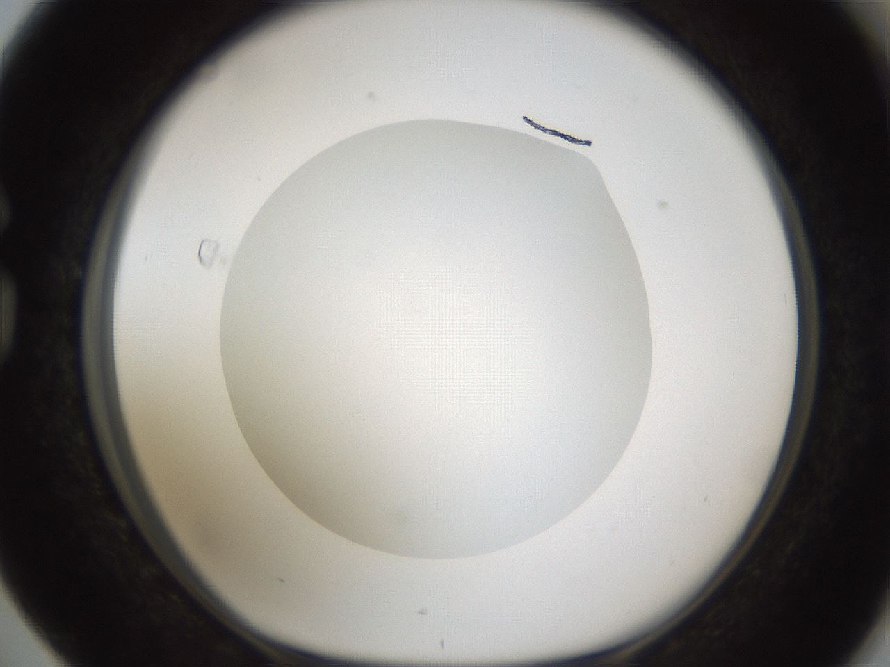 folderID303_plateID1303_batchID4266_wellNum76_profileID1_d1_r78563_ef.jpg