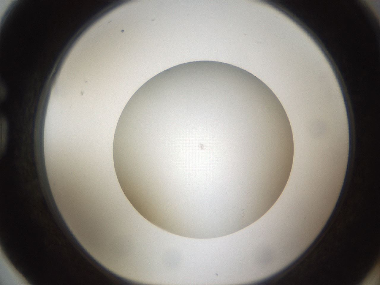 folderID303_plateID1303_batchID4266_wellNum78_profileID1_d1_r78565_ef.jpg