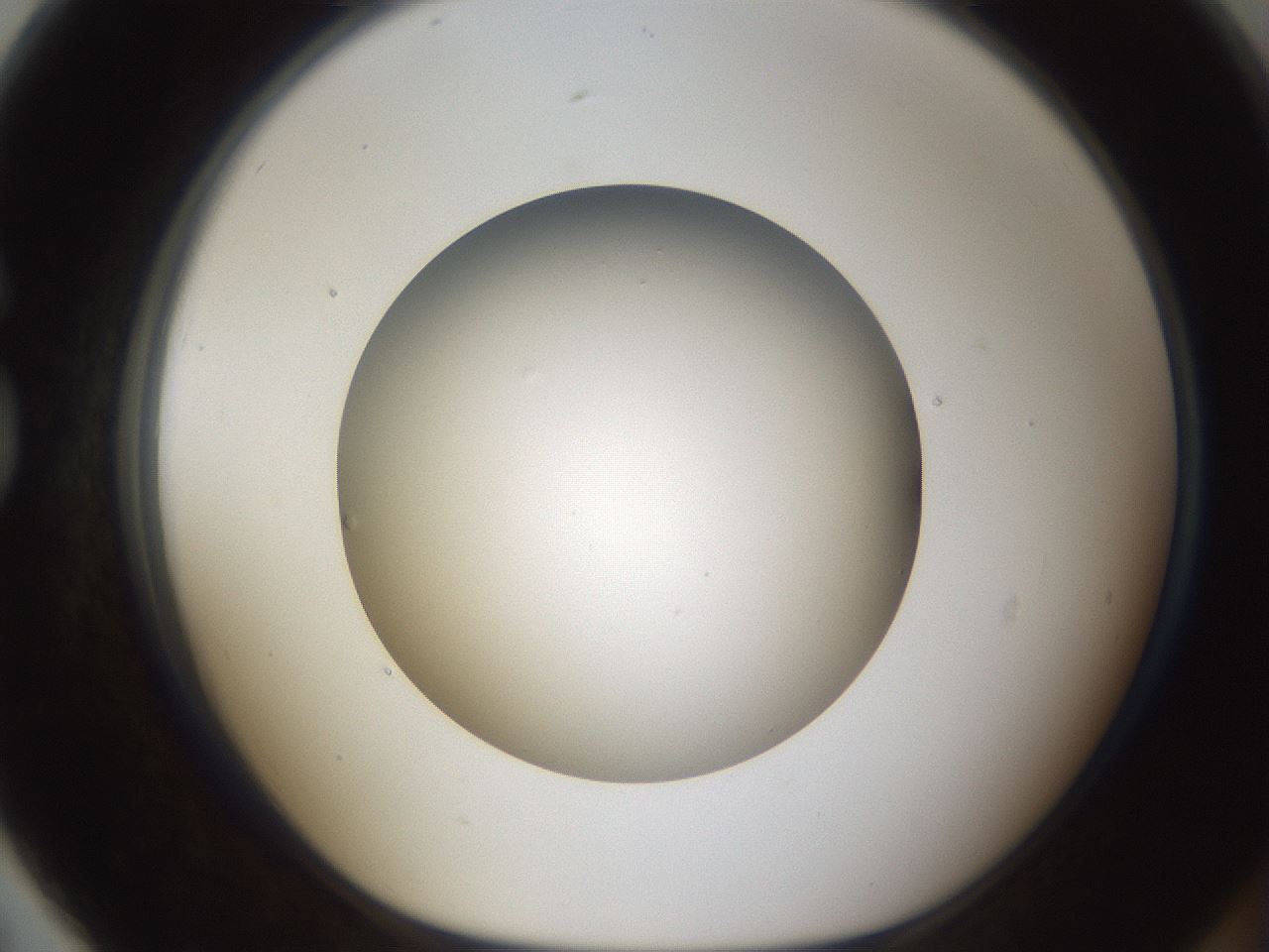 folderID303_plateID1303_batchID4266_wellNum79_profileID1_d1_r78566_ef.jpg