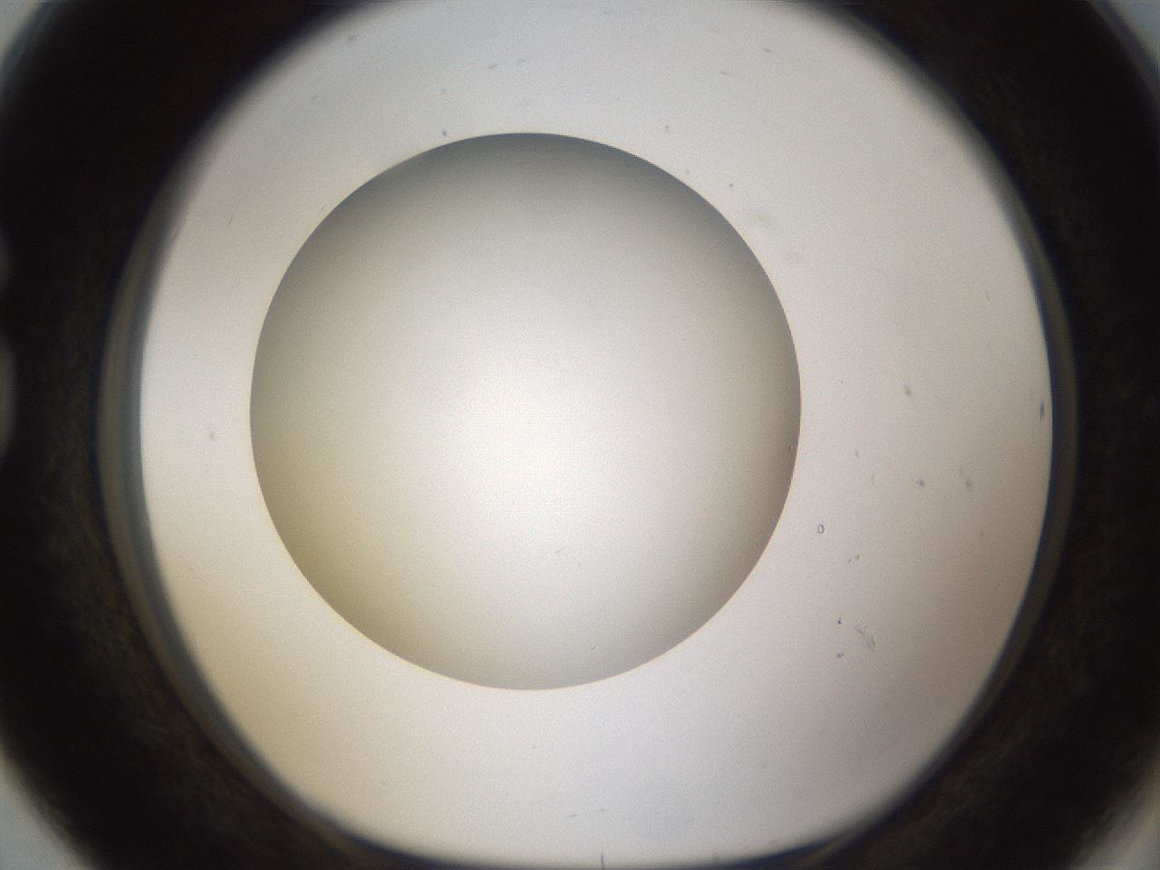 folderID303_plateID1303_batchID4266_wellNum80_profileID1_d1_r78567_ef.jpg